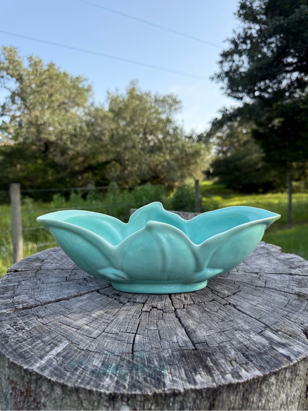Mid-Century Lotus Mantle Bowl